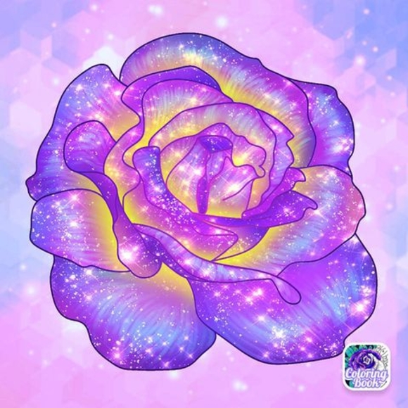 Meet your Posher, Elizabeth - Picture 1 of 1